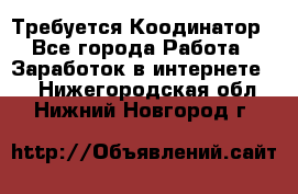 Требуется Коодинатор - Все города Работа » Заработок в интернете   . Нижегородская обл.,Нижний Новгород г.